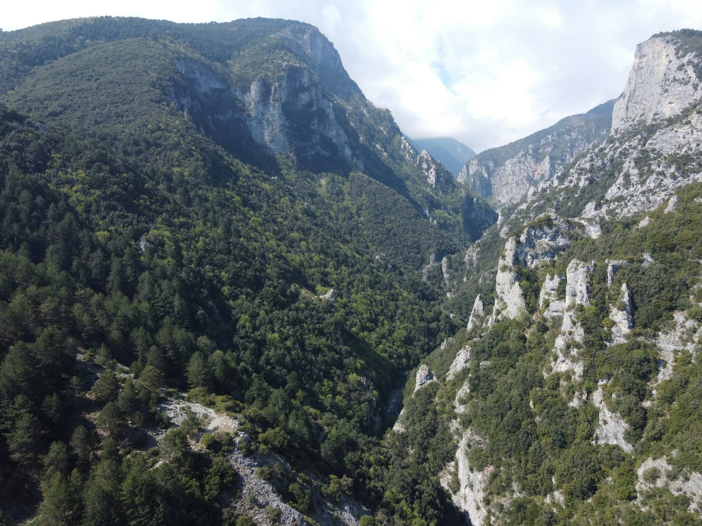 Mountain bike στον Όλυμπο